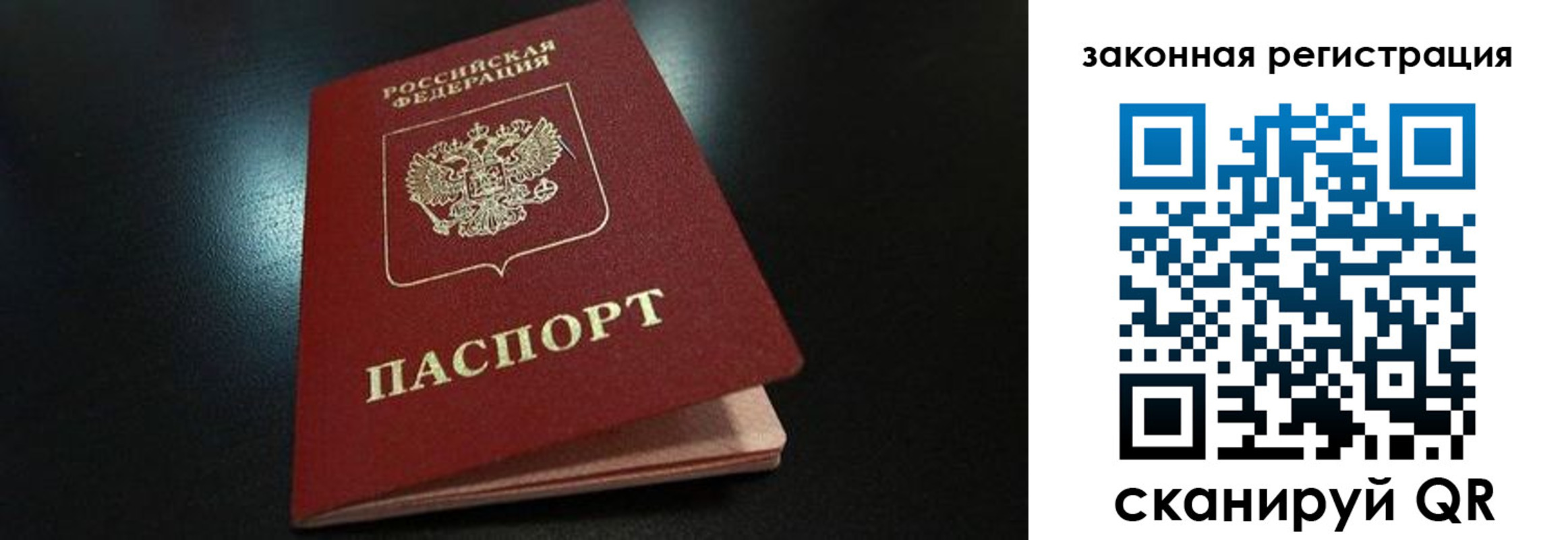 прописка штамп в Палласовке